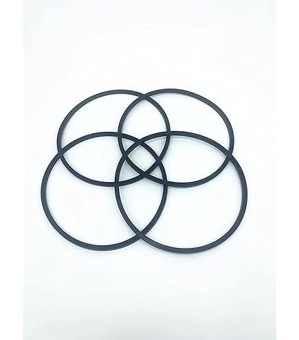 Amazon.com: Summer Waves Replacement Motor Seal Gasket