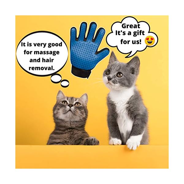 Best Cat Furniture Protector 2020 Furniture Protection From Cat Scratching