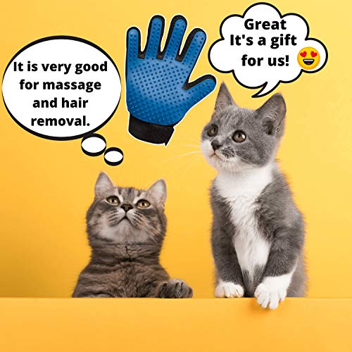 Best Cat Furniture Protector 2020 Furniture Protection From Cat