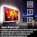 HOMELYLIFE Daylight White LED Strip Lights Non-Waterproof SMD2835 Flexible 16.4Ft 6500K Tape Light for Cabinets, Vanity Mirror, DIY Decor (No Power or Remote)