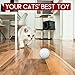 DELOMO Smart Interactive Cat Toy Ball, Automatic Rolling Ball, USB Rechargeable Cat Laser Toy, 360 Degree Self Rotating Ball with Spinning LED Light, 2019 Upgraded Cat Exercise Chaser Toy