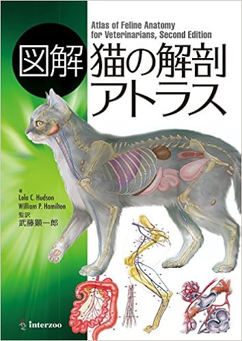 完了しました 猫部位名称 スーツ着こなし女性画像
