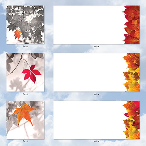 image for The Best Card Company MQ4629OCB-B1x10 Autumn Leaf: 10 Assorted Set of 