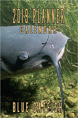 Buy 2019 Planner Calendar Blue Catfish Blue Catfish Bottom