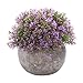 HC STAR Artificial Plant Potted Mini Fake Plant Decorative Lifelike Flower Green Plants Fake Flowers Small Fake Plants for Home/Office Decor/Desk/Kitchen/Bathroom/Shelves Purple Decor