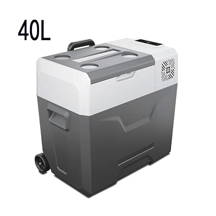 Caja de refrigeración eléctrica- Nevera Portatil con Compresor 12V ...