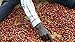Chiru Coffee Fresh Roasted Kenya's Finest AA Roasted Whole Bean Coffee 100% Arabica Coffee - 16 oz. Bag (1LB)