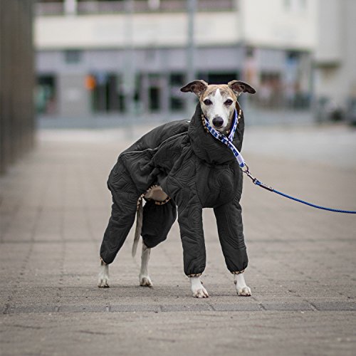 Hurtta Casual Quilted Overall Dog Coat, River, 16L Pricepulse