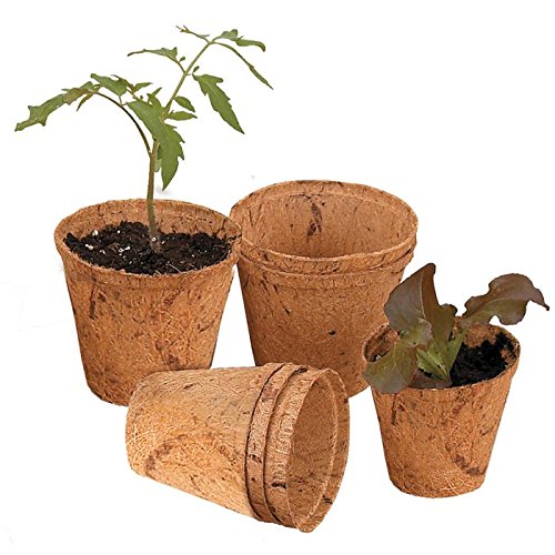 Coir Pot 6 inch 5 Nos, Coco Basket for Gardening Plants & Flowers