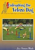 Unleashing the Velcro Dog - Training Your Agility Dog to Love Working at a Distance