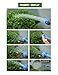 Crusar Jet Water Cannon Turbo Water Spray Gun Jet Power Washer Wash RV Van Car-Blue
