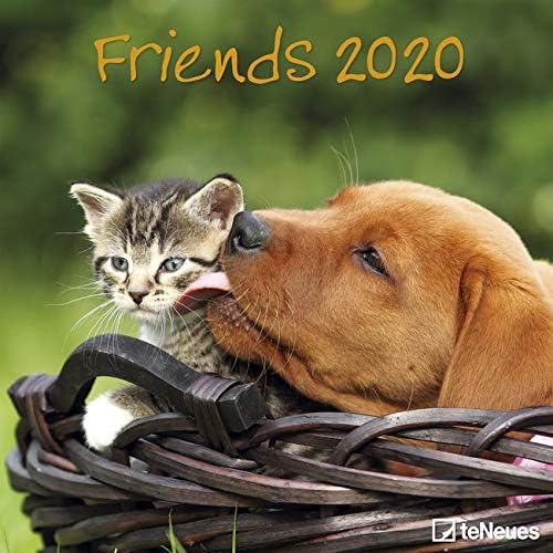 Calendrier 2020 Chien Et Chat Copain Amis Henry Et Baloo