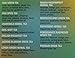 Stash Tea Variety Pack Single-Cup Tea for Keurig K-Cup Brewers, 12 Count