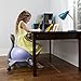 Gaiam Kids Balance Ball Chair - Classic Children's Stability Ball Chair, Alternative School Classroom Flexible Desk Seating for Active Students with Satisfaction Guarantee, Green