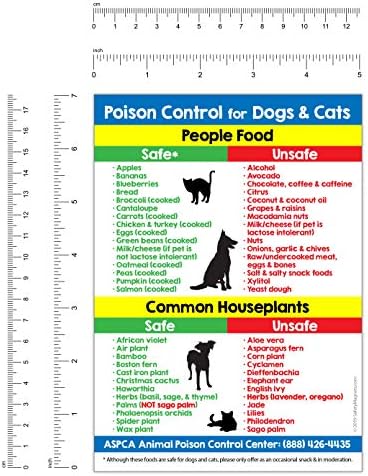 poison center for dogs