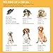 Bark Collar, Small Pet Bark Collars, 2019 Best Anti Bark Collar for Small Large Dogs, Smark Dog Training & Behavior Aids, Rechargeable Adjustable Dog Training Collars, Barking Detection, Waterproofthumb 4