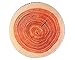 ODN Creative Natural Wood Design Round Soft Chair Cushion Pillows Head Lumbar Rest Pillow Home Couch Decorative Pillow