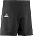 Salomon Men's Trail Runner Shorts