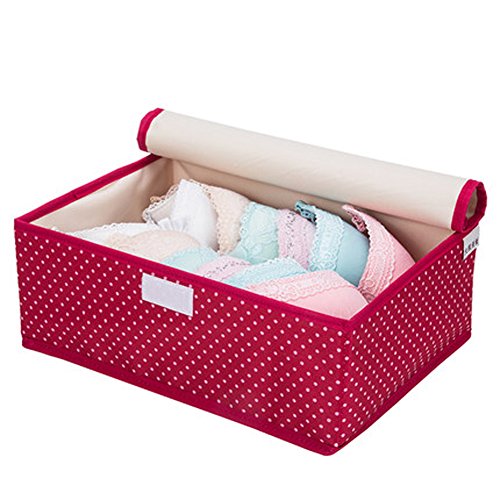 Battletter Washable Foldable Underwear Socks Bra Organizer Storage Box with Lid (4)