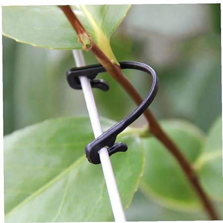 Angoter Clips 100pcs U Tomate Tipo Trellis Huerta Compatibilidad ...