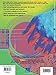 The Dictionary of Strum & Picking Patterns