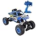 fisca RC Car Remote Control Rock Crawler High Speed 4WD Off-Road Vehicle, 2.4Ghz 1:18 Dune Buggy Monster Truck Electric Hobby Fast Race Car with Rechargeable Battery Blue