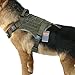 EXCELLENT ELITE SPANKER Tactical Dog Harness Military Service Dog Harness No-Pull Working Dog Vest Adjustable Training Vest Patrol Harness with Handle for Small Medium Large Dogs(Ranger Green-L)