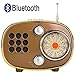 Radio Retro Bluetooth Speaker, Portable AM FM Shortwave Radio with Rechargeable Battery Support USB MP3 Player and TF Card (Gold)