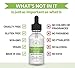 Hyaluronic Acid Serum for Skin & Face with Vitamin C & E, MSM, Aloe Vera, Jojoba Oil - Deeply Hydrates, Plumps Skin, Reduces Fine Lines & Wrinkles | Anti Aging Serum, All Organic Essentials 1 Oz