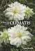 Choosing Your Clematis by
