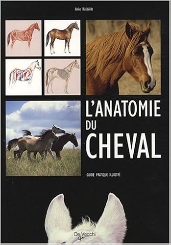 Amazon Fr L Anatomie Du Cheval Guide Pratique Illustre Rusbuldt Anke Denmann Martel Sylvie Livres