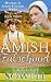 Amish Falsehood (Amish Romance) (Mystery in Amish Country series - Book 3)