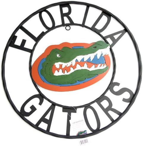 LRT SALES LLC NCAA Florida Gators Collegiate Wrought Iron Wall Decor, Black/Orange and Blue, 23-Inch