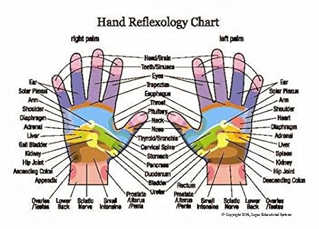 Professional Hand And Foot Reflexology And Acupressure Pocket Guide 25 Pack Amazon Com Industrial Scientific
