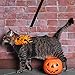 EXPAWLORER Halloween Costume Dog Harness and Leash Set with Detachable Wing and Label Adjustable Breathable Cotton Vest Black for Cats and Dogs Small