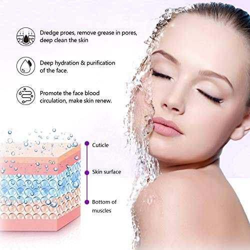 Beauty Nymph Facial Steamer Hot Mist Face Steamer Home Sauna SPA Face Humidifier for Face Steaming Skincare Deep Cleanse Moisturizing (Purple)