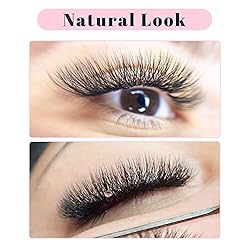 TDANCE W Eyelash Extensions 4D Premade Fans W