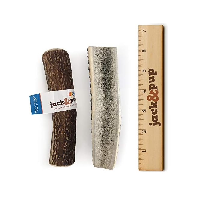 jack and pup marrow bones