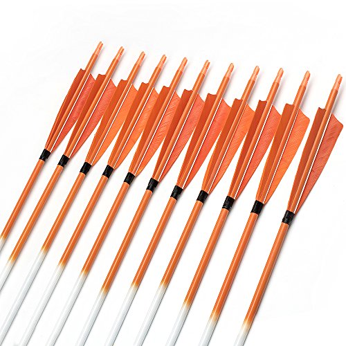 Archery sharly 31" Carbon Hunting Targeting Arrows with 5" Orange Feather Fletching for Traditional Recurve and Long Bow (12 Pack)