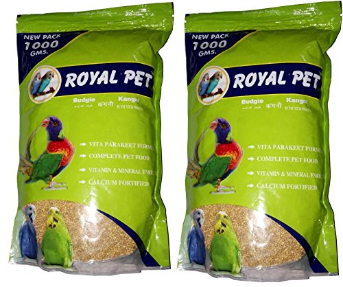 buying a budgie from a pet store