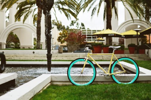 Pure Fix Original Fixed Gear Single Speed Bicycle, X-Ray Gloss Cream/Mint Green, 58cm/Large