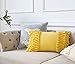 Flber Tassel Throw Pillow Decorative Cotton Sham,12