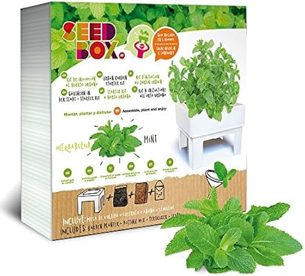 SeedBox SBCUHB-Hierba Buena: Amazon.es: Jardín