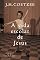 Livro A vida escolar de Jesus (Trilogia de Jesus Livro 2)