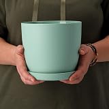 B2C Flower Pots 8 Sizes 6 Colours Matt Plastic Planter with Saucer Green 12 cm view 5
