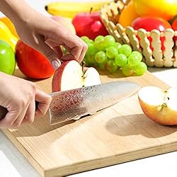 Syosaku Japanese Chef Knife Damascus ZA18 69 Layer