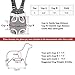 Whizzotech Adjustable Pet Carrier Backpack Pet Frontpack Carrier Travel Bag Legs Out Easy-Fit for Traveling Hiking Camping PB03 (S, Pink)