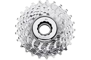Campagnolo Veloce 10 Speed Cassette - Silver, Size 11 25