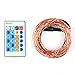 Badalink LED String Lights, 100 LED 33FT Starry Dimmable Waterproof Copper Wire Lights with Remote Control for Parties&Festivals Indoor Outdoor(Copper Wire Lights, Warm White)