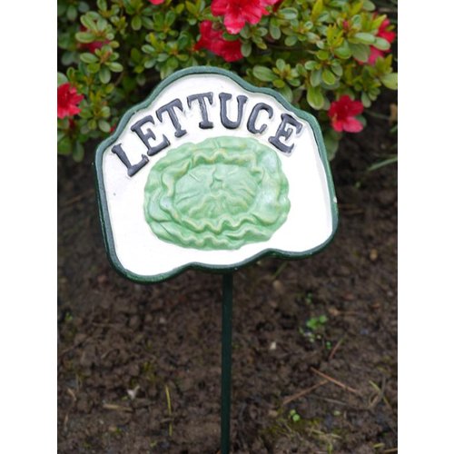 Brown & Ginger Colourful Hand-Painted Veg Signs - Various Styles Available (Lettuce)